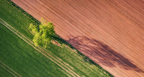 10-Sustainability-in-Canada_s-agri-food-sector