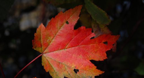 Lets-Get-This-Transition-Moving